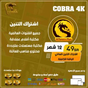 اشتراك التنين بلس 12 شهر