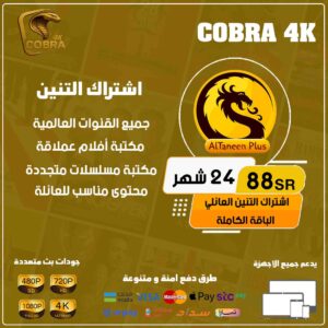 اشتراك التنين بلس 24 شهر