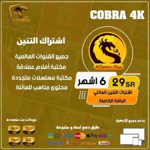 اشتراك التنين بلس 6 اشهر